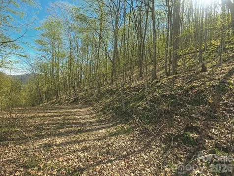 1200 Chestnut Flats Lane Waynesville NC 28786