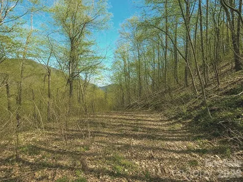 1200 Chestnut Flats Lane Waynesville NC 28786
