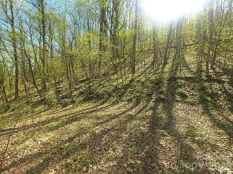 1200 Chestnut Flats Lane Waynesville NC 28786
