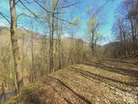 1200 Chestnut Flats Lane Waynesville NC 28786