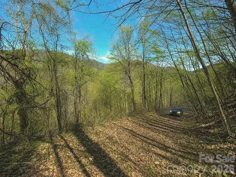 1200 Chestnut Flats Lane Waynesville NC 28786