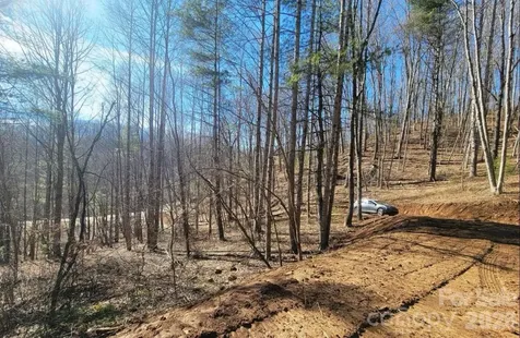 2166 Cove Creek Road Waynesville NC 28785