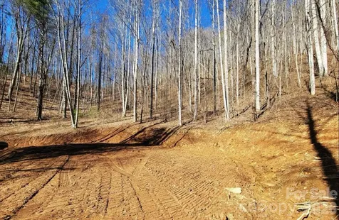 2166 Cove Creek Road Waynesville NC 28785