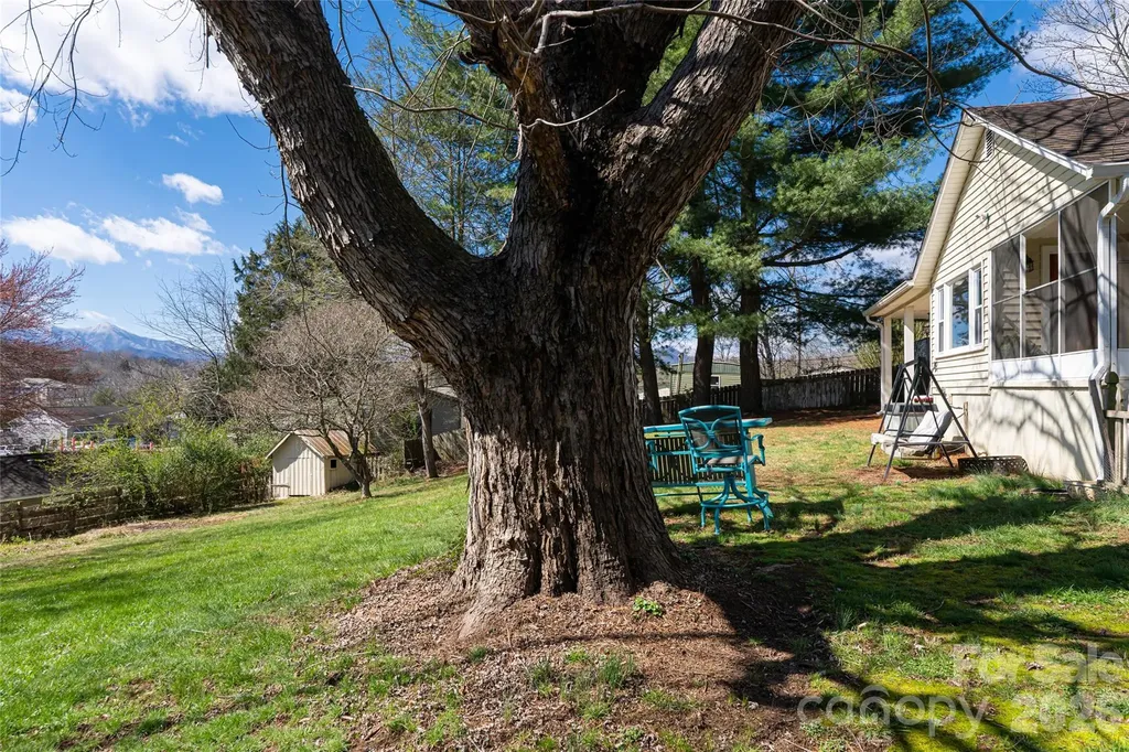 203 Pine Street Candler NC 28715