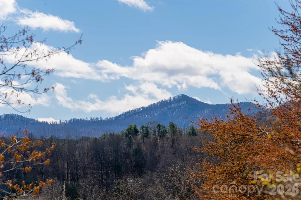 203 Pine Street Candler NC 28715