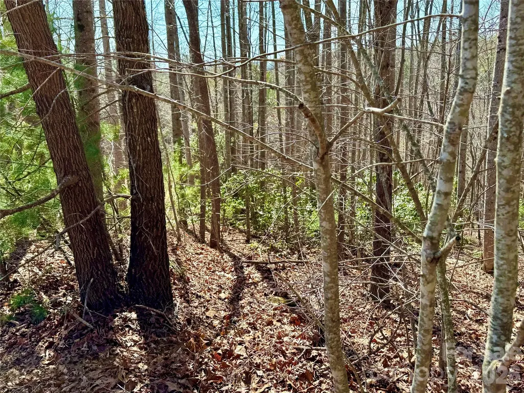 Lot 42, Round Mountain Parkway Lenoir NC 28645