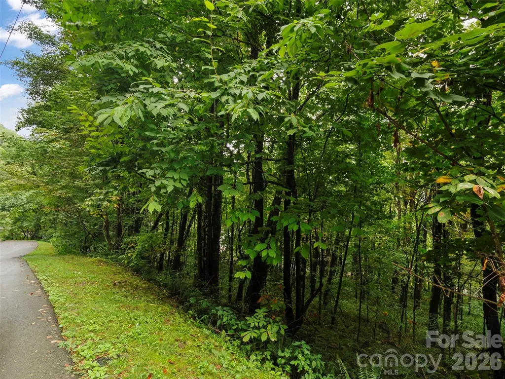 Lot 28 Jefferson Lane Waynesville NC 28786
