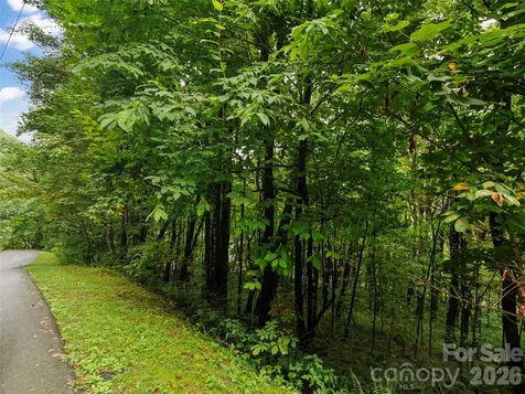 Lot 28 Jefferson Lane Waynesville NC 28786