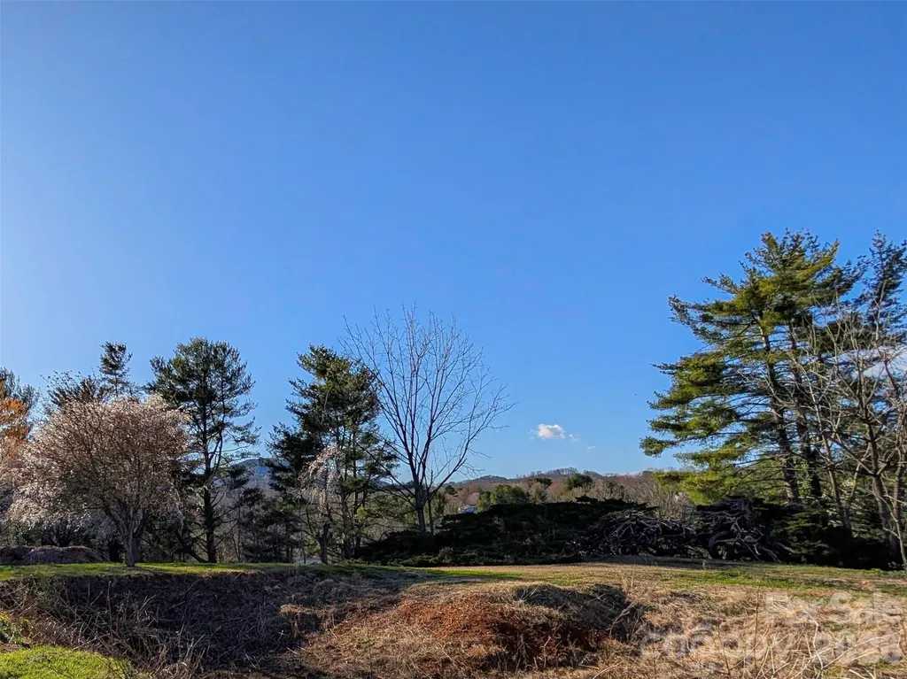 14 Mountain Terrace Asheville NC 28806