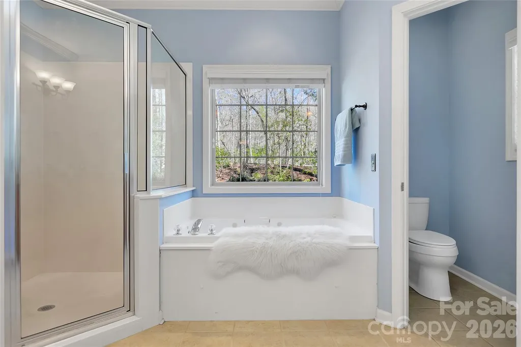 180 Notlvsi Court Brevard NC 28712