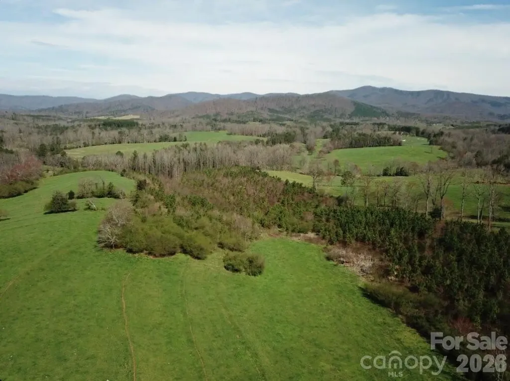 00 Moriah School Road Casar NC 28020