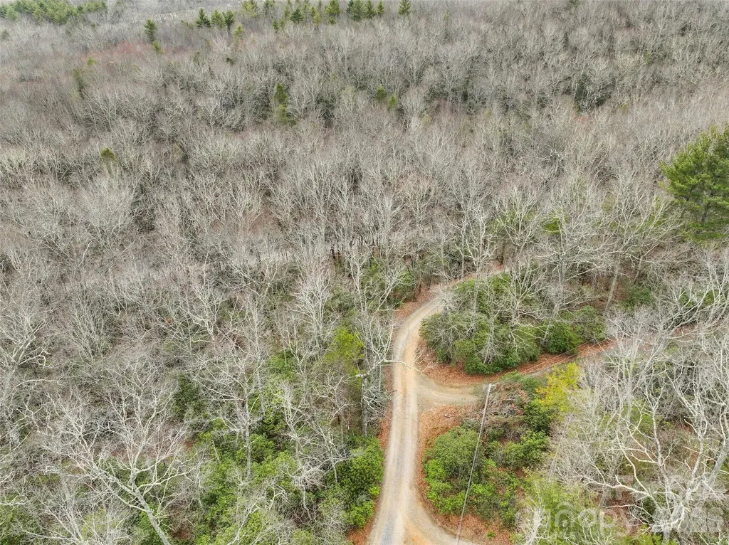 Lot 12 Patton Thicket Road Burnsville NC 28714