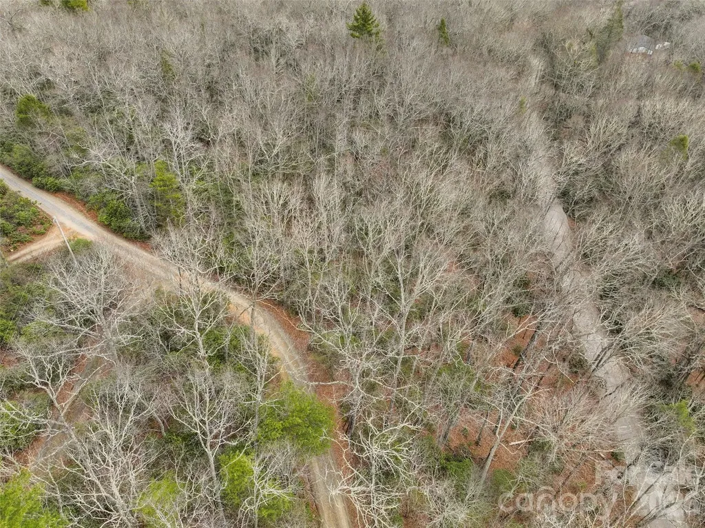 Lot 12 Patton Thicket Road Burnsville NC 28714