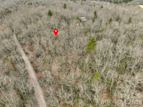 Lot 12 Patton Thicket Road Burnsville NC 28714