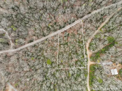 Lot 12 Patton Thicket Road Burnsville NC 28714