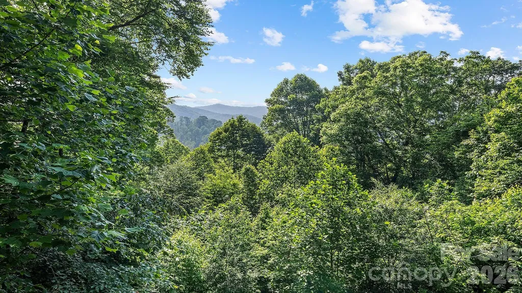 616 Appaloosa Trail Waynesville NC 28785