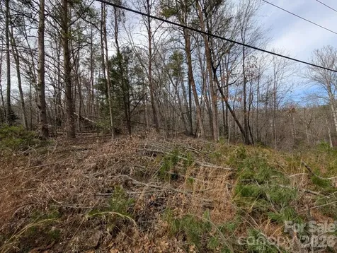 4960 Singleton Drive Morganton NC 28655