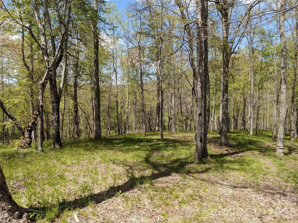 27 Woodtrail Way Arden NC 28704