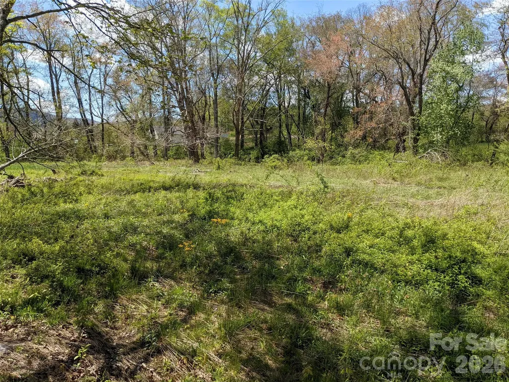 27 Woodtrail Way Arden NC 28704