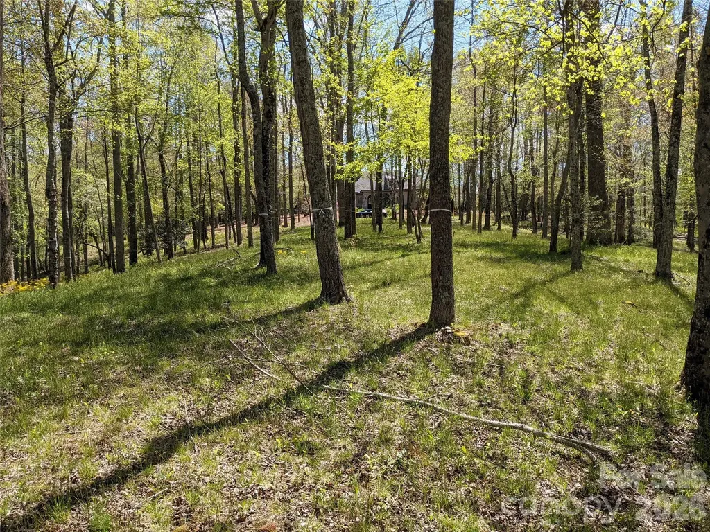 27 Woodtrail Way Arden NC 28704