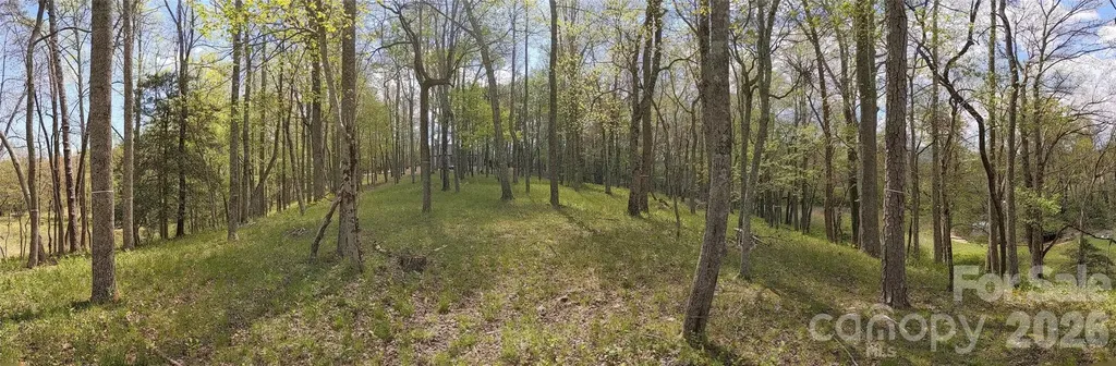27 Woodtrail Way Arden NC 28704