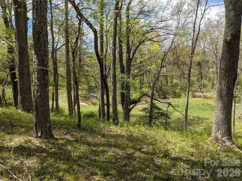 27 Woodtrail Way Arden NC 28704