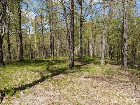 27 Woodtrail Way Arden NC 28704