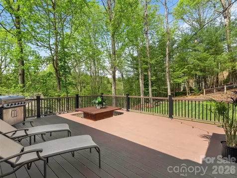 21 Dianthus Drive Asheville NC 28803