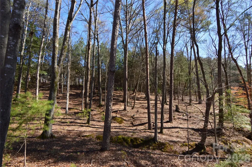 5120 Watermead Lane Belmont NC 28012
