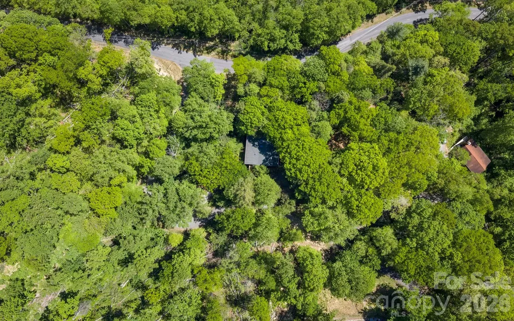 14 Weeping Cherry Forest Road Fairview NC 28730