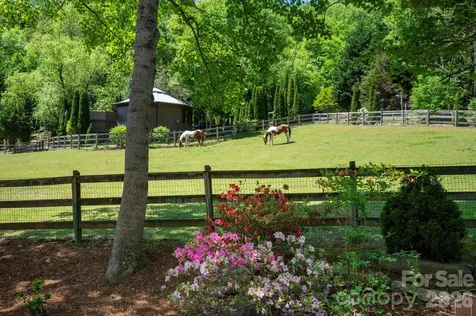 14 Weeping Cherry Forest Road Fairview NC 28730