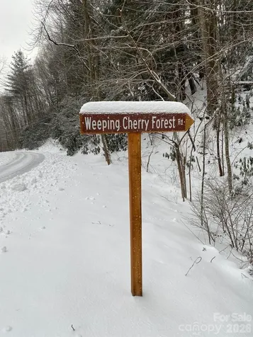 14 Weeping Cherry Forest Road Fairview NC 28730
