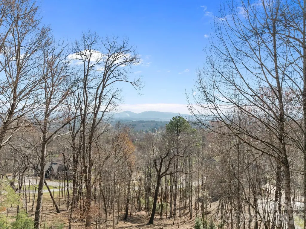 1105 High Vista Drive Mills River NC 28759