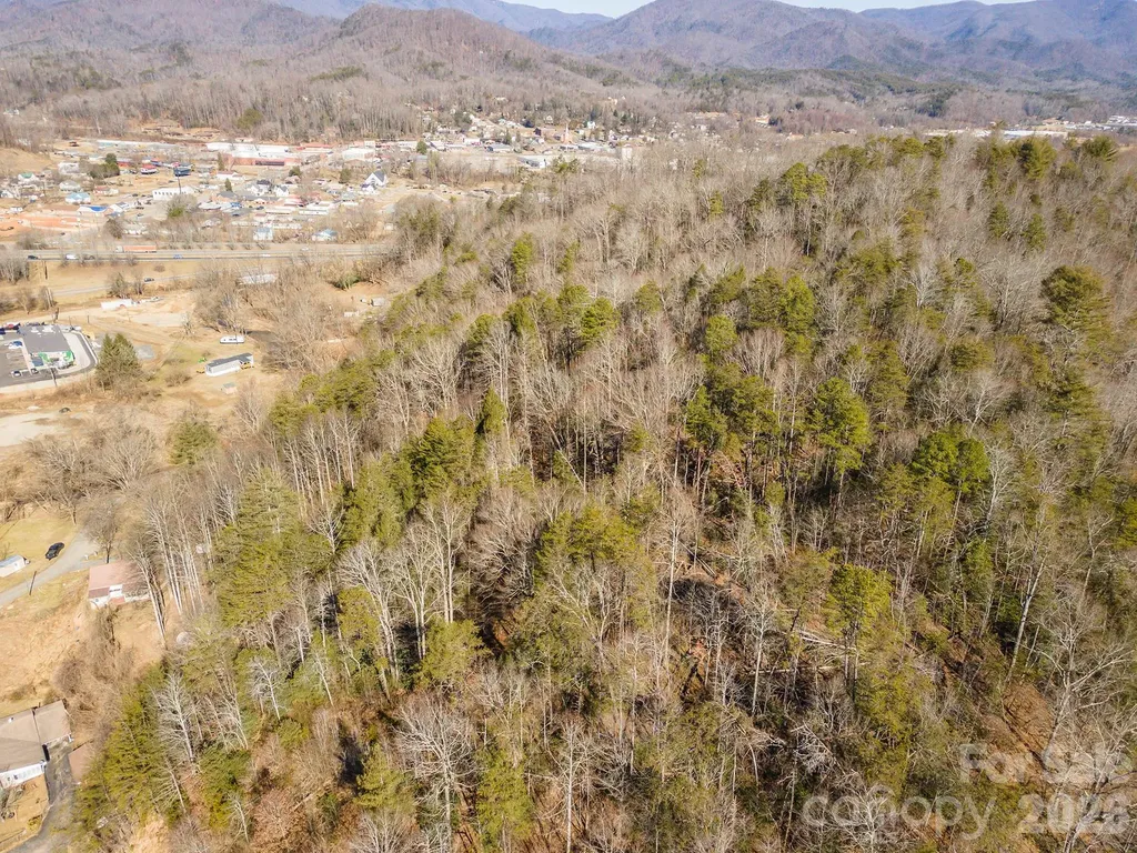 717 Bat Cave Road Old Fort NC 28762