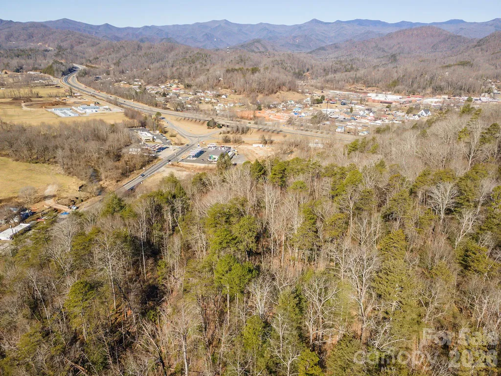 717 Bat Cave Road Old Fort NC 28762