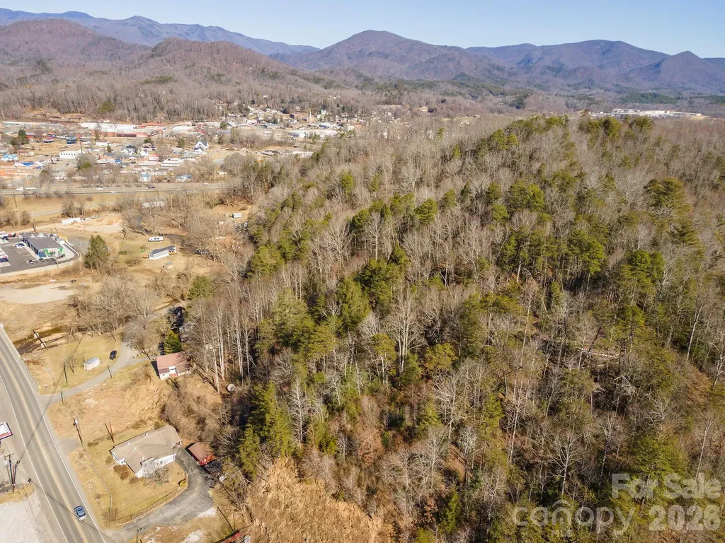 717 Bat Cave Road Old Fort NC 28762