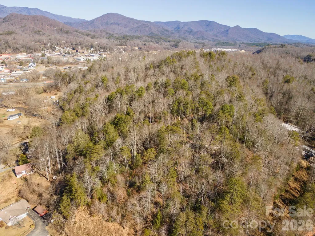 717 Bat Cave Road Old Fort NC 28762