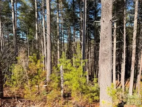 32 Clear View Way Nebo NC 28761