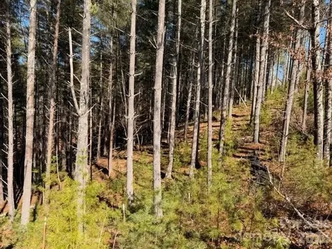 32 Clear View Way Nebo NC 28761