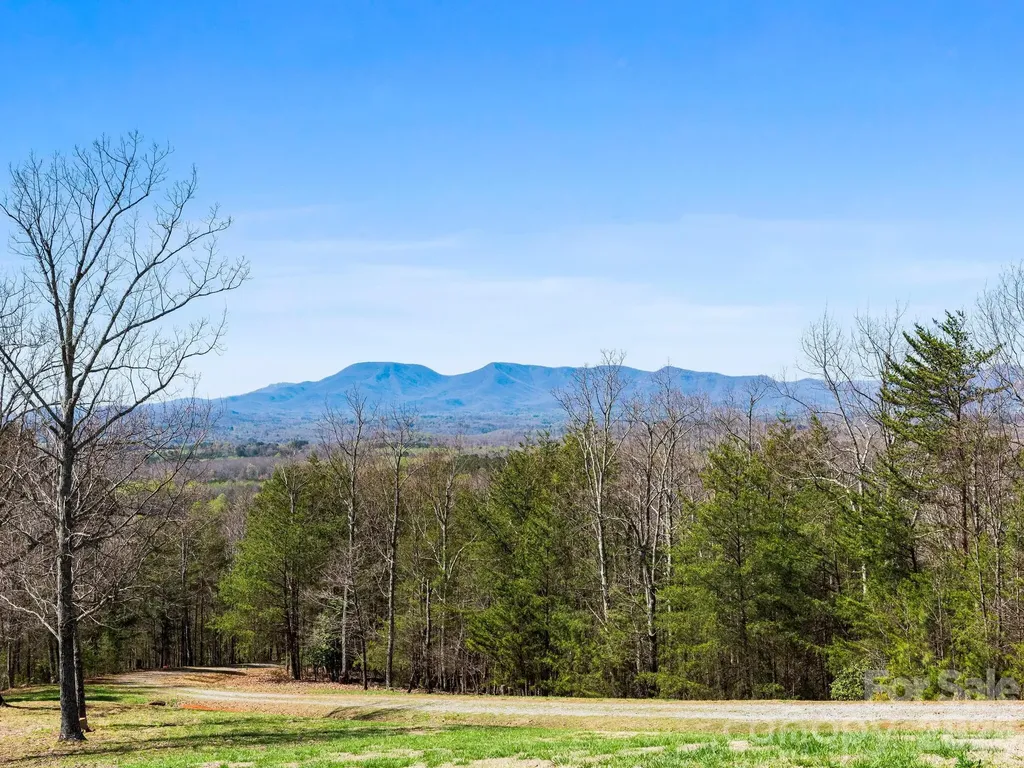 25 Preservation Trail Columbus NC 28722