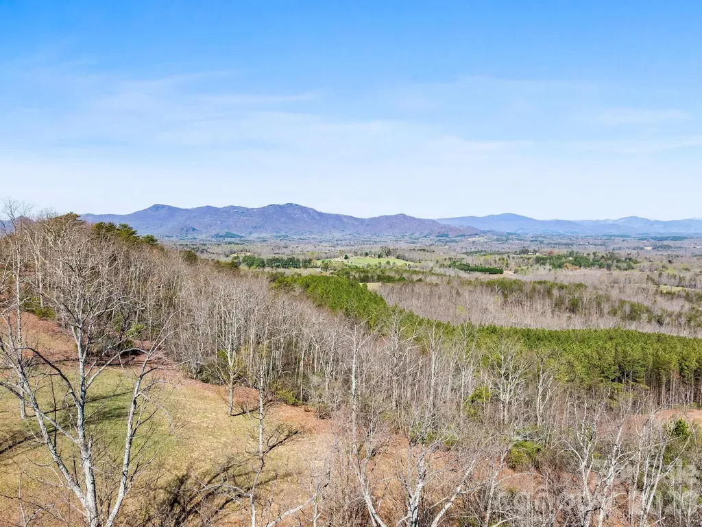 25 Preservation Trail Columbus NC 28722