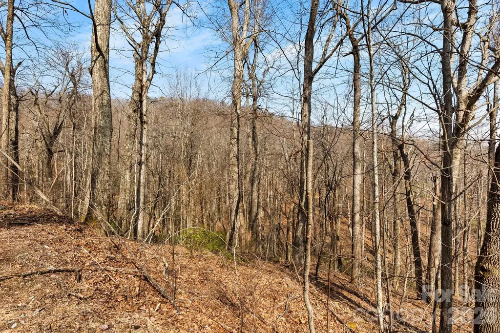Lot 5 Laurel Mountain Trail Black Mountain NC 28711