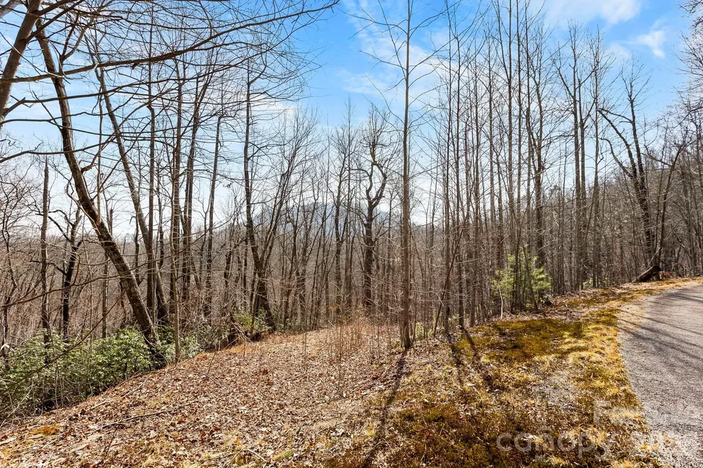Lot 5 Laurel Mountain Trail Black Mountain NC 28711