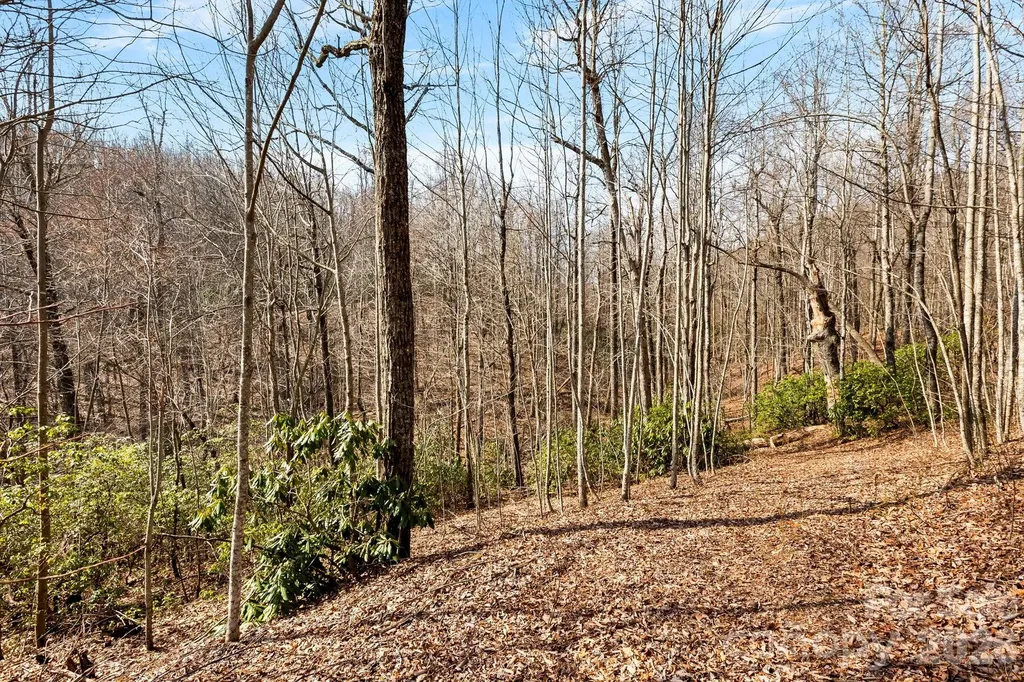 Lot 5 Laurel Mountain Trail Black Mountain NC 28711