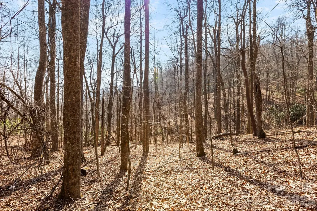 Lot 5 Laurel Mountain Trail Black Mountain NC 28711