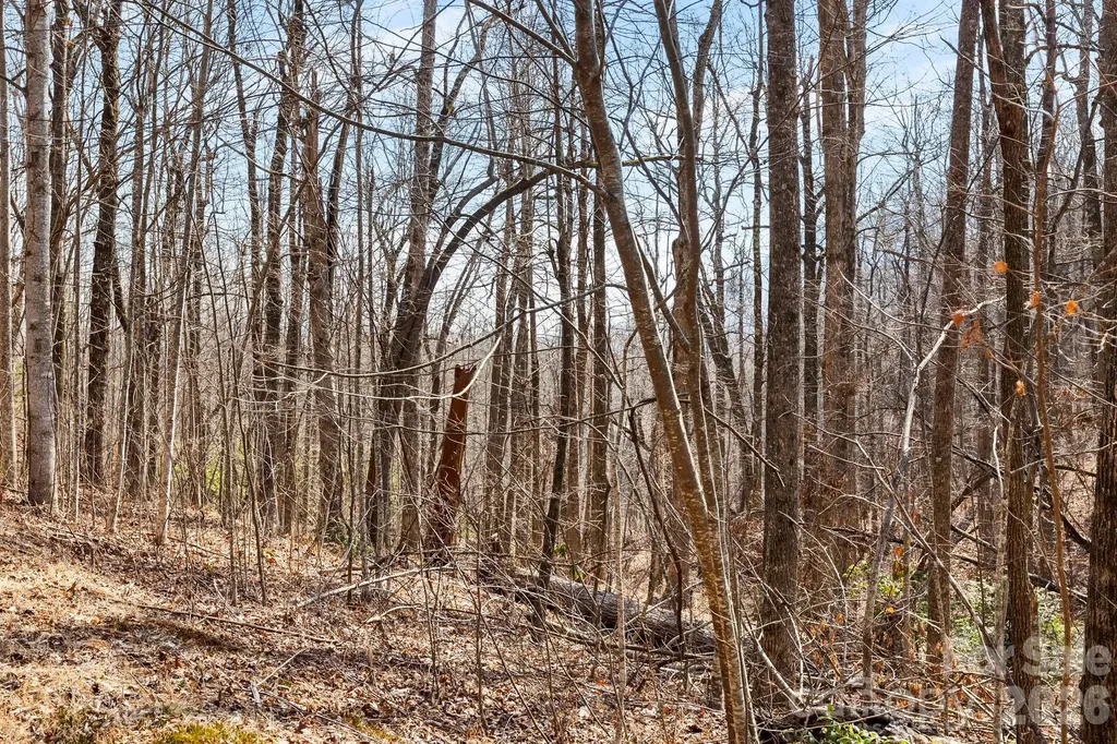Lot 5 Laurel Mountain Trail Black Mountain NC 28711