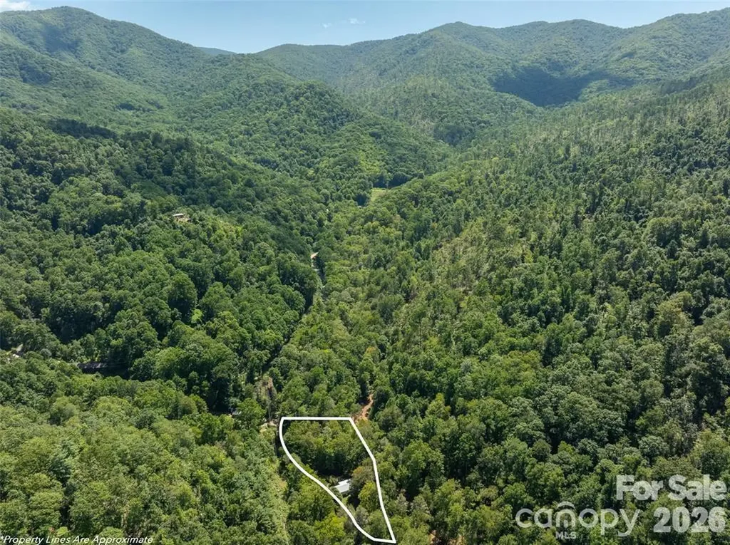 347 Blackberry Inn Road Weaverville NC 28787