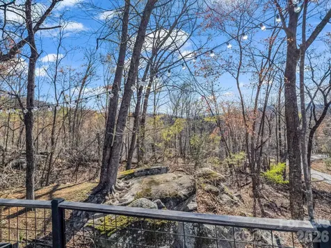 456 Youngs Mountain Drive Lake Lure NC 28746