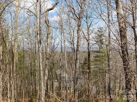 96 Turkey Roost Court Hendersonville NC 28739