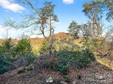 345 Lower Switchback Road Union Mills NC 28167